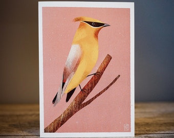 Cedar Waxwing - Greetings Card