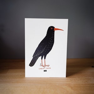 Cornish Cough - Wenskaart