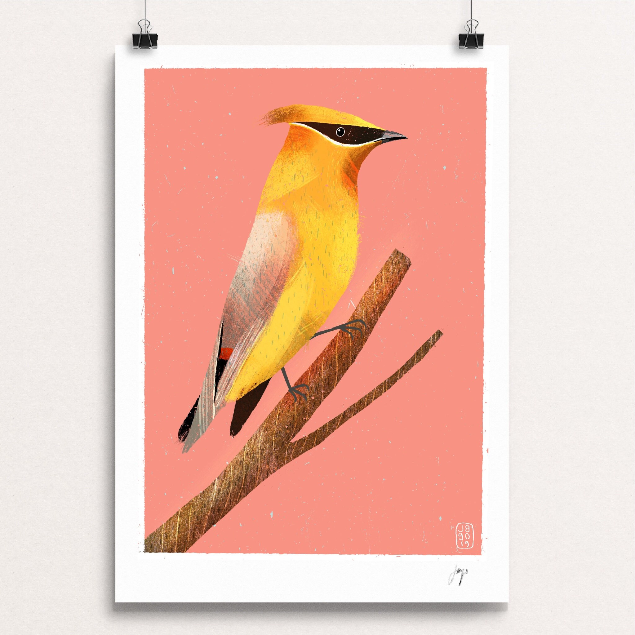 Cedar Waxwing - Day Seventeen -  20 Winter Birds Daily Drawing Challenge