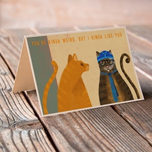 May include: Greeting card with a whimsical illustration of two cats. One orange cat and one gray cat wearing glasses, a blue swim cap, and a tie. The card reads, "You're kinda weird, but I kinda like you."