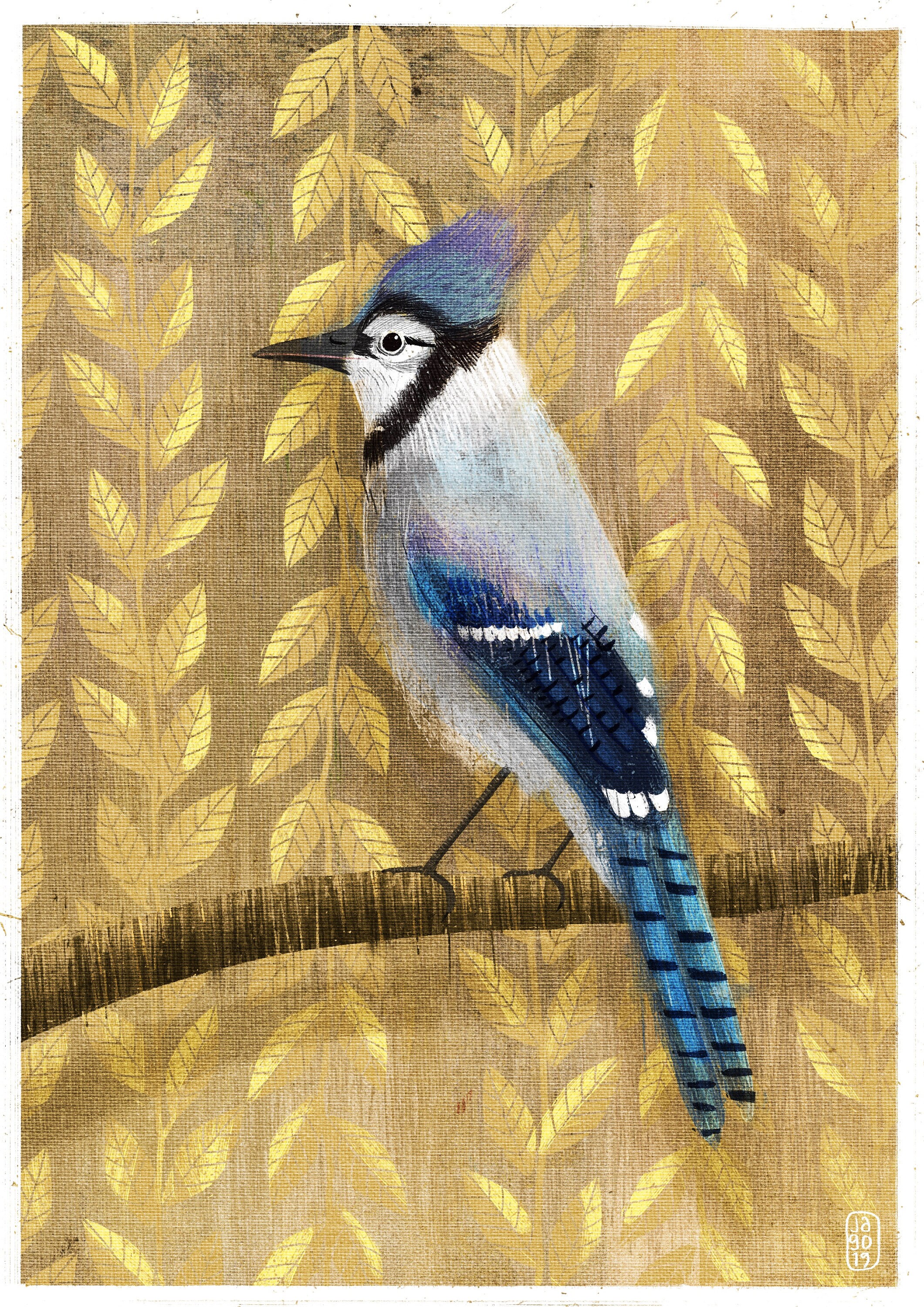 Blue Jay Day Seven Winter Birds Daily Drawing Challenge
