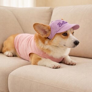 May include: A Corgi dog wearing a light pink t-shirt and a lavender baseball cap with the name "Bella" embroidered on it. The dog is lying on a beige sofa, looking to the side.