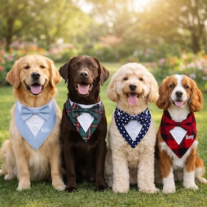 May include: Four dogs of varying breeds sit side-by-side, each wearing a decorative bandana with a bow tie. The bandanas are light blue, green plaid, navy with white stars, and red plaid. The dog on the left has "Milo" on the bandana.
