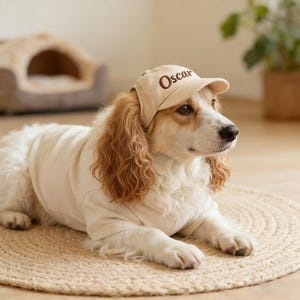 May include: A dog wearing a beige baseball cap with the name "Oscar" embroidered on the front. The dog is also wearing a beige t-shirt and is lying on a round, woven rug. The dog has brown and white fur.