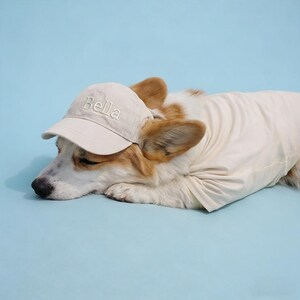 May include: A beige baseball cap with the name "Bella" embroidered on the front, worn by a corgi dog. The dog is also wearing a matching beige jacket, and is lying down on a light blue background.
