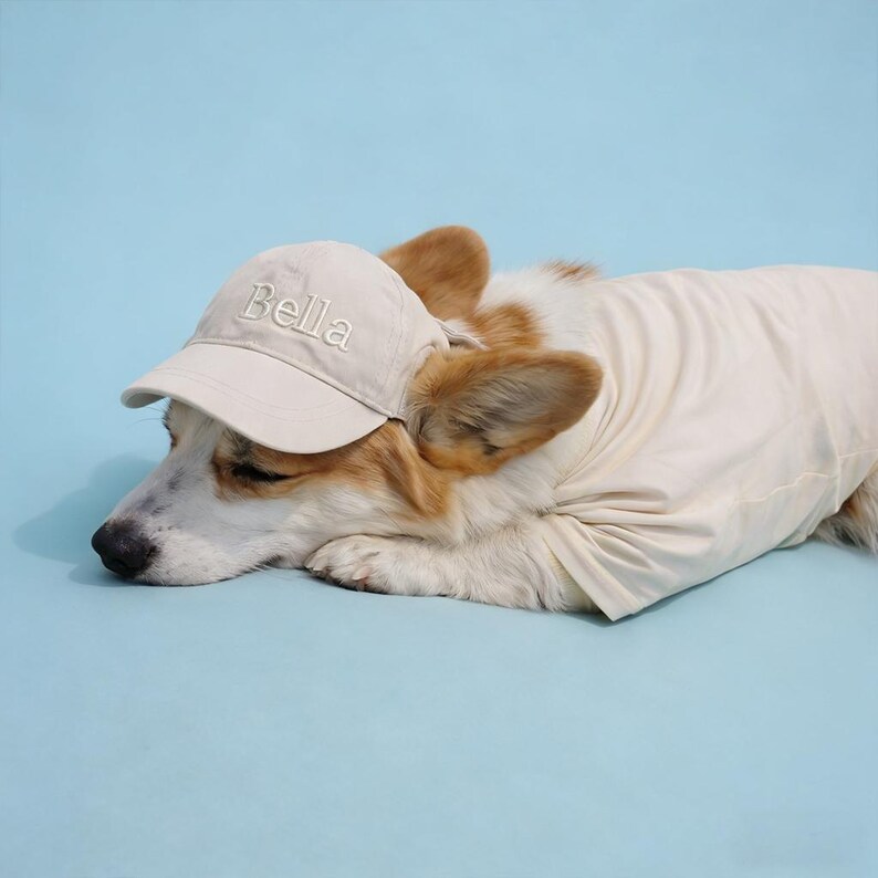 May include: A beige baseball cap with the name "Bella" embroidered on the front, worn by a corgi dog. The dog is also wearing a matching beige jacket, and is lying down on a light blue background.