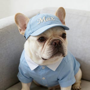 May include: A light blue dog baseball cap with the name "Max" embroidered in white script. The dog is wearing a light blue button-down shirt with a white collar. The dog is a French Bulldog.