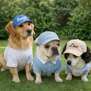 May include: Three dogs wearing baseball caps with names embroidered on them. The dog on the left is a golden retriever wearing a blue cap with "Banjo" and a white t-shirt. The middle dog is a French bulldog wearing a blue cap with "Max" and a blue shirt. The dog on the right is a spaniel wearing a tan cap with "Leo" and a blue shirt.