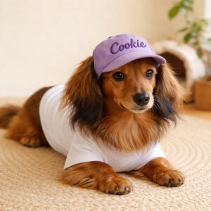 May include: A long-haired dachshund wearing a white t-shirt and a lavender baseball cap. The cap has the name "Cookie" embroidered on the front. The dog is lying on a woven rug.