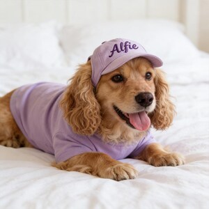May include: A golden Cocker Spaniel wearing a lavender baseball cap embroidered with the name "Alfie" and a matching lavender t-shirt. The dog is lying on a white bedspread, with its tongue out.