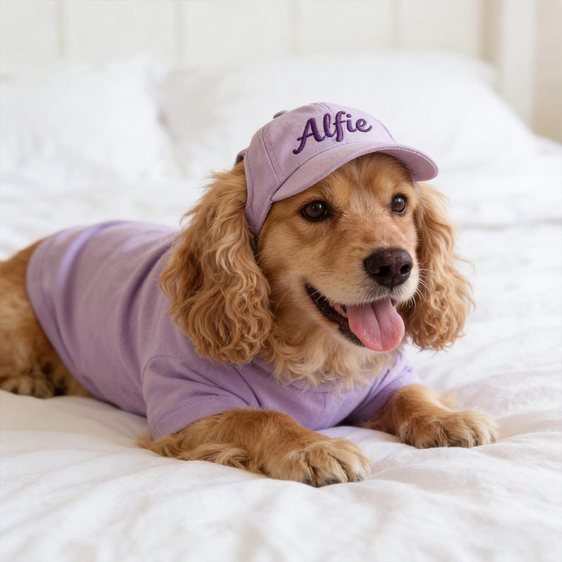 May include: A golden Cocker Spaniel wearing a lavender baseball cap embroidered with the name "Alfie" and a matching lavender t-shirt. The dog is lying on a white bedspread, with its tongue out.