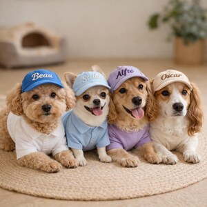 May include: Four dogs wearing matching caps and shirts. The dogs are a mix of breeds, each wearing a different colored cap with a name embroidered on it: Beau, Stella, Alfie, and Oscar. They are lying on a woven mat.