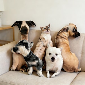 May include: A collection of five plush pet pillows, including dogs and a cat, arranged on a beige sofa. The pillows are designed to resemble different breeds, with realistic details and colors. The dog breeds include a Schnauzer, a white dog, and a brown dog.