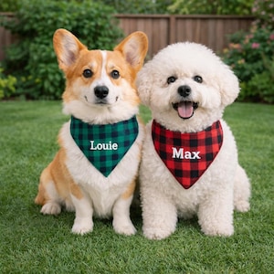 May include: Two dogs wearing bandanas with names. A corgi with a green and black plaid bandana that says "Louie" and a white dog with a red and black plaid bandana that says "Max". They are sitting on green grass.