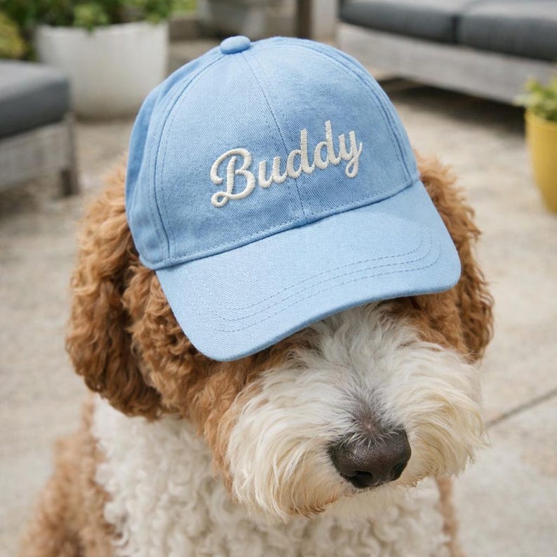May include: A light blue baseball cap with the word "Buddy" embroidered in white script. The cap is worn by a dog with brown and white fur. The dog is outdoors.