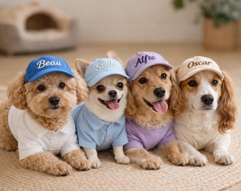 Personalized Dog Hat with Name, Custom Embroidered Pet Baseball Cap, Small Dog Sun Hat, Adjustable Puppy Cap with Ear Holes
