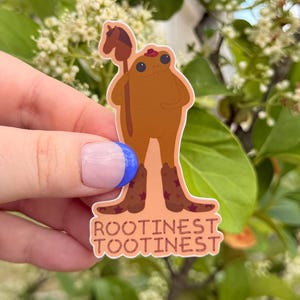 Cowboy Frog Sticker - Rootinest Tootinest - Funny Frog Vinyl Sticker, Waterproof and Durable for Water Bottle, Laptop, or Car