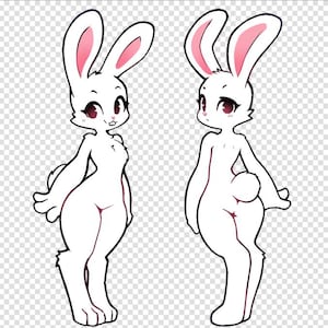 Furry Bunny Rabbit reference sheet base, fem, femboy female ref for adopts or customs