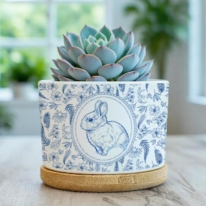 May include: A blue and white ceramic planter with a succulent plant. The planter features a blue rabbit illustration within a circular frame, surrounded by floral patterns. The planter sits on a round, natural-colored coaster.