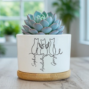 May include: A white ceramic plant pot with a succulent. The pot has a black line drawing of three cats, one with angel wings, and the names "Sophia", "Amelia", and "Gerry". It rests on a bamboo coaster. The succulent has blue-green leaves.