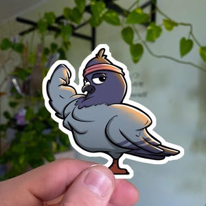 Sticker pigeon bodybuilder, sticker vinyle Gym Bro, pigeon fitness, cadeau pour amateur de sport