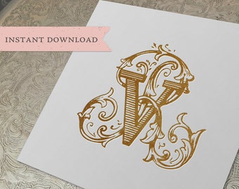Family Initials Invitation Logo Home Decor Wedding Logo Stationery Letterhead Crest RV VR Wedding Duogram Wedding Monogram