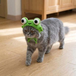 Op de afbeelding: Een grijze kat met een groene gehaakte kikkerhoed met grote witte en zwarte ogen en een bijpassende groene strik. De kat loopt op een lichtbruine houten vloer.