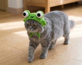 Crochet Frog Hat Pattern PDF, Beginner Cat Costume Tutorial (Digital Download)