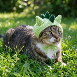 May include: A tabby cat wearing a light green crocheted dinosaur hat and matching neck tie, lying in green grass. The cat has green eyes and white markings on its chest and paws. The hat features two pointed ears and three dorsal spikes.