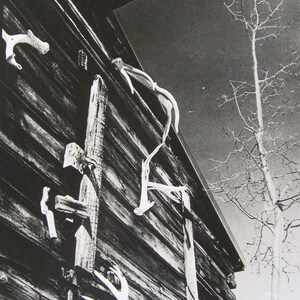 Crooked House.  Film Photograph, Lith Printed, Framed, by West Magoon