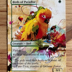 Aves do Paraíso - PROXY