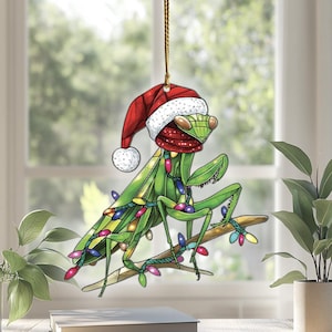 Praying Mantis Acrylic Suncatcher Window Hangings, Praying Mantis Ornaments, Praying Mantis Decor, Praying Mantis Gifts For Women Men