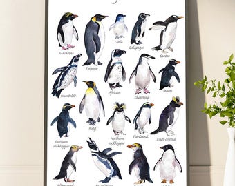 Artistic Penguin Print Poster Beautifully Illustrated Penguin Species Perfect Wall Art Gifts For Animal Lovers