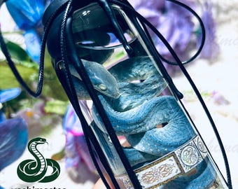 Blue Snake Wet Specimen, Smooth Snake Wet Specimen, Bottled with Wax Seal, Clean and Complete, Vintage Curiosity Display Decor