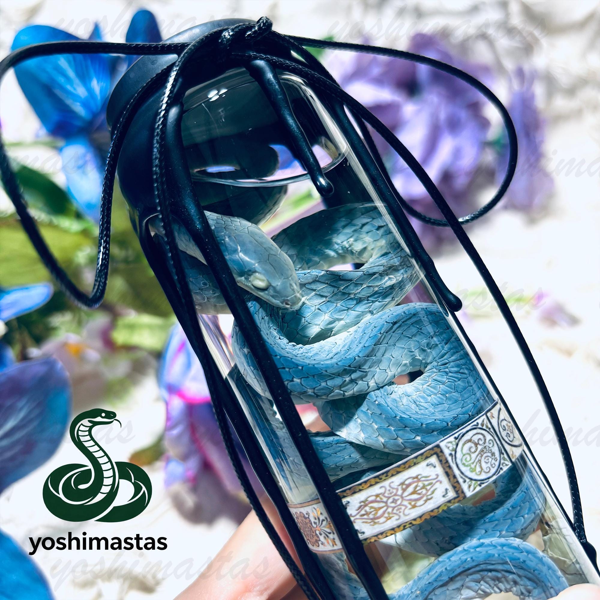 剥製＆珍品 - Etsy 日本