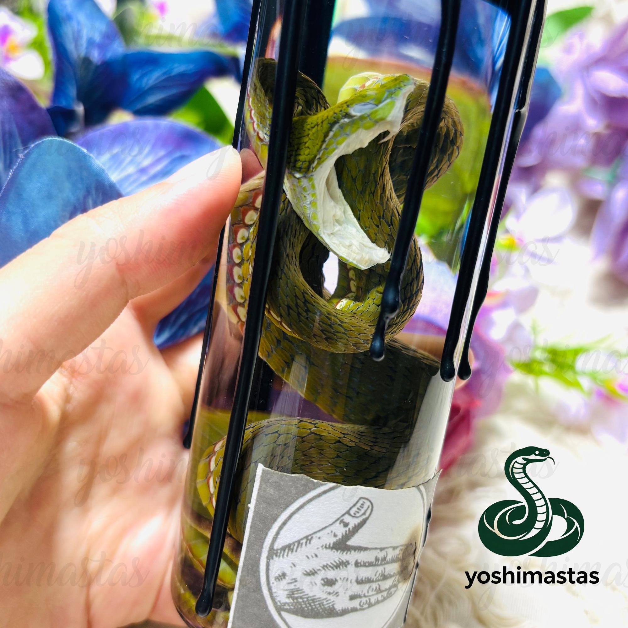Bush viper - Etsy 日本
