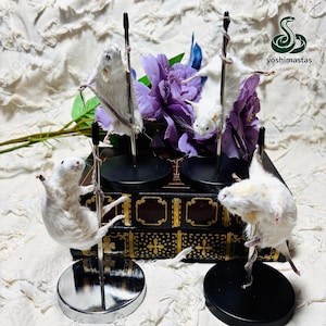 May include: Four taxidermy white mice posed on individual vertical metal poles with circular bases. The mice are arranged around a central stack of two black books with gold decorative patterns and purple artificial flowers behind them.