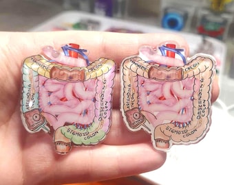 Anatomical Colon Badge Reel: GI Nurse ID Holder, Gastroenterology Gift