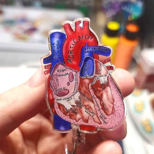 Anatomical Heart Badge Reel: Handmade Resin Coated Retractable Clip
