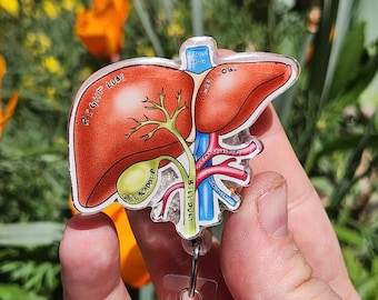 Liver Anatomy Badge Reel, Hepatologist Badge. Anatomical Liver, Hepatology Nurse Badge Reel, Nurse Gift General Surgeon Gallbladder