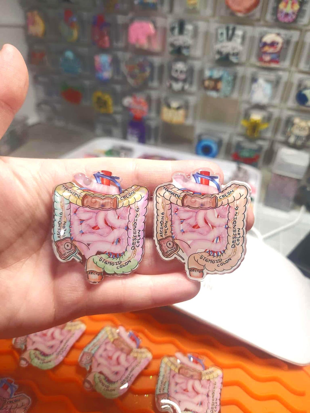 Anatomical Colon Badge Reel: GI Nurse ID Holder, Gastroenterology Gift ...