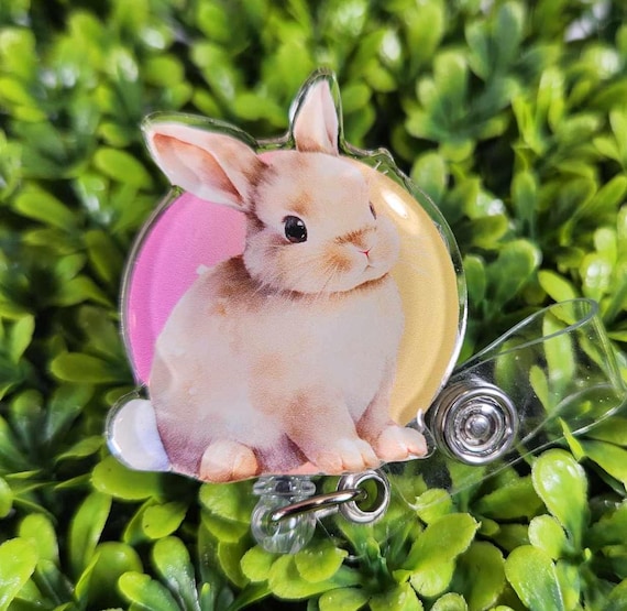 Design grafico di Rabbit Reel