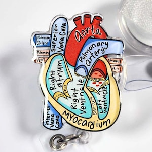 Anatomical Heart Badge Reel: Nurse, Doctor, Healthcare Gift