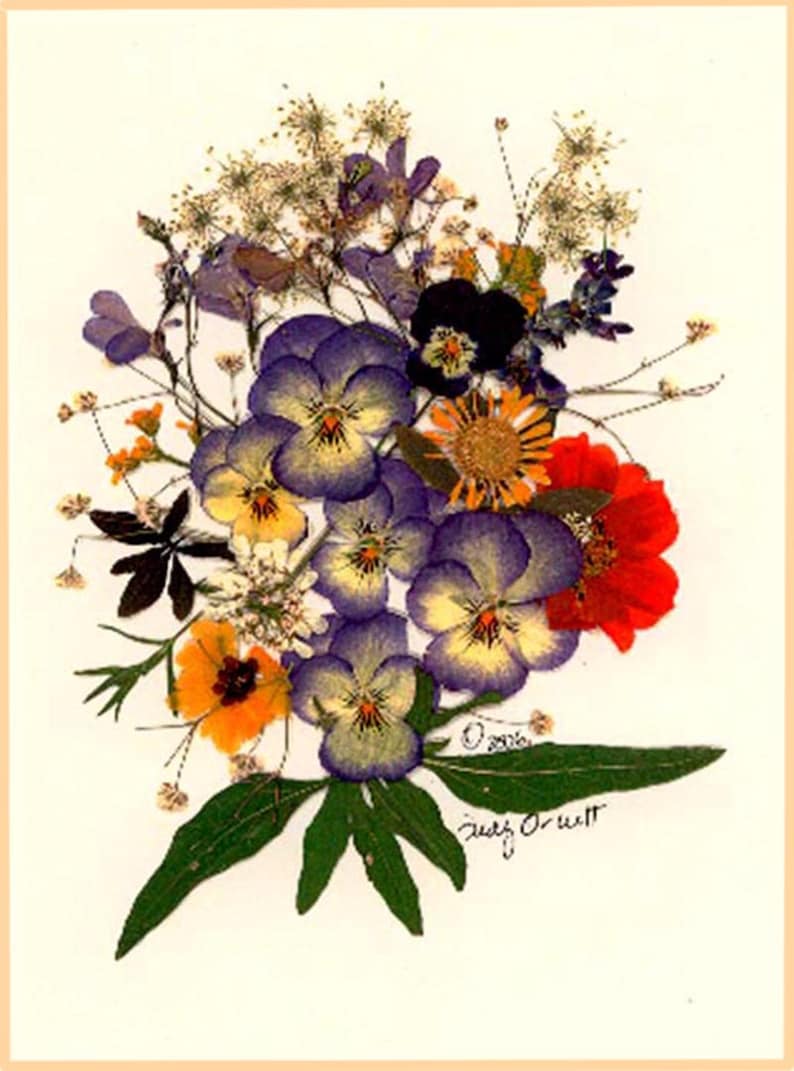 pressed flower blank note card pansies art print get well