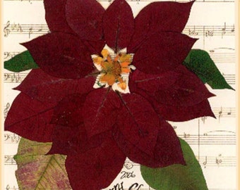 Red poinsettia card | pressed flowers | hand made | artist designed | music background | collectible design