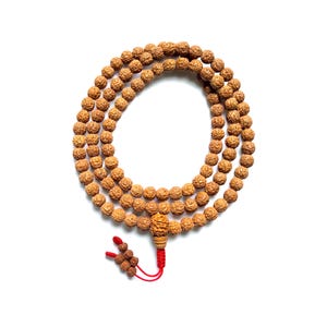 May include: A strand of prayer beads made of brown, round seeds, arranged in a circular pattern. The beads are connected by a red string, with a decorative pendant and tassel at the bottom. The background is plain white.