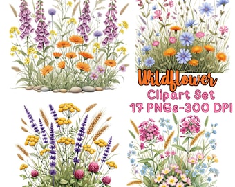 May include: A digital art set featuring four watercolor illustrations of wildflowers. The images showcase a variety of colorful blooms, including purple foxgloves, orange marigolds, and pink blossoms, with the text "Wildflower Clipart Set 17 PNGs-300 DPI".