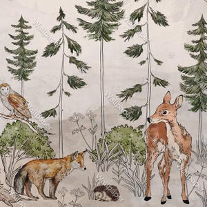 Wilde Dschungel Cartoon Tiere Tapete für Kinderzimmer, Kinder Tapete, Wandbild Kinderzimmer, Gazelle, Wolf, Eule, Igel Tapete