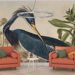 Carta da parati 3D con uccelli della Louisiana, carta da parati con design speciale, murale romantico, carta da parati staccabile e adesiva, carta da parati con disegno, carta da parati boho