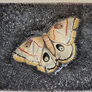 Mottendruck, mit Passepartout (schwarz) auf 11×14 Kunst selbst ist 20×25 auf 9x12 Aquarellpapier. Echtheitszertifikat liegt bei.